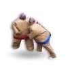 Sumo Wrestling Suits for Kids